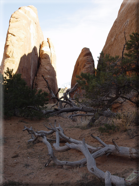 foto Arches Park